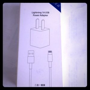 iPhone charging cable and adapter